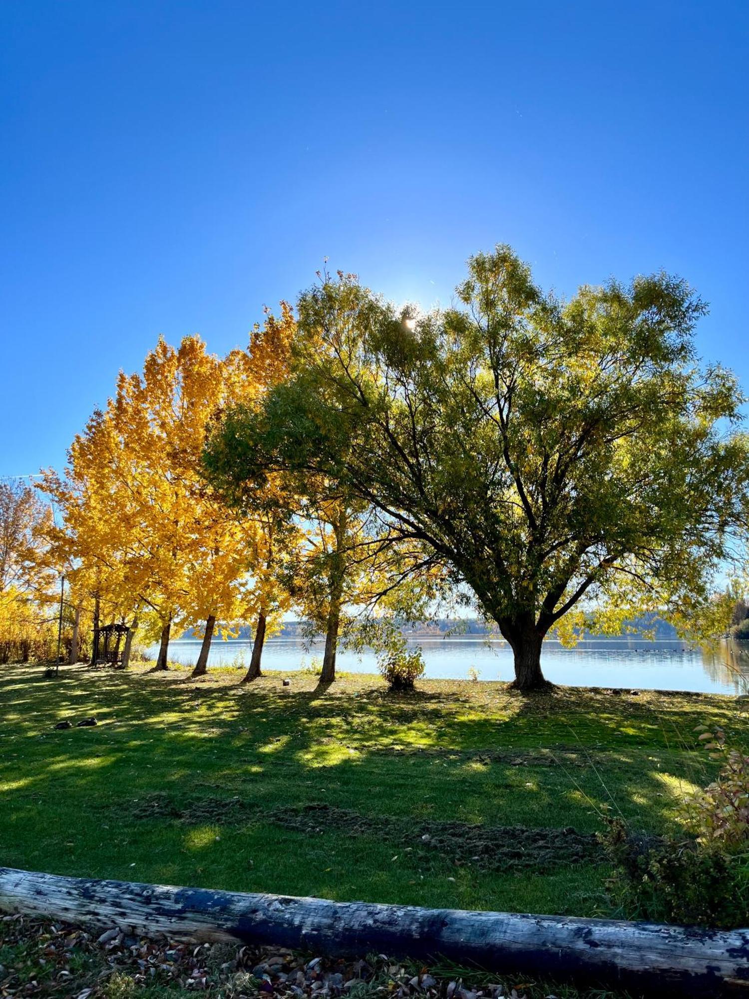 Roberts Roost Resort Кенель Экстерьер фото